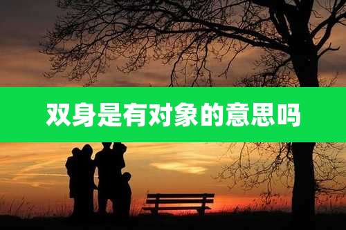 双身是有对象的意思吗