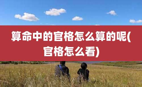 算命中的官格怎么算的呢(官格怎么看)