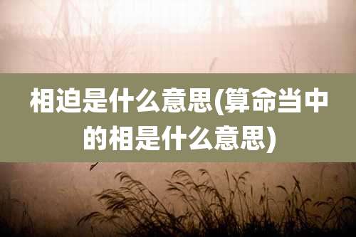 相迫是什么意思(算命当中的相是什么意思)