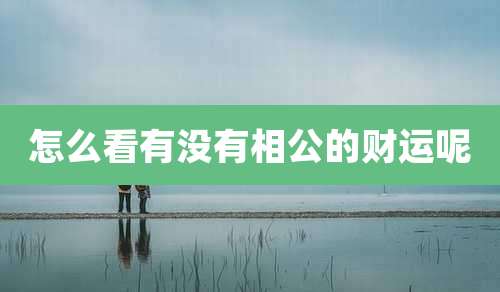 怎么看有没有相公的财运呢