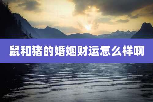 鼠和猪的婚姻财运怎么样啊