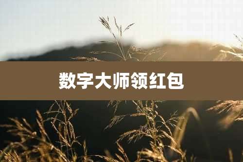 数字大师领红包