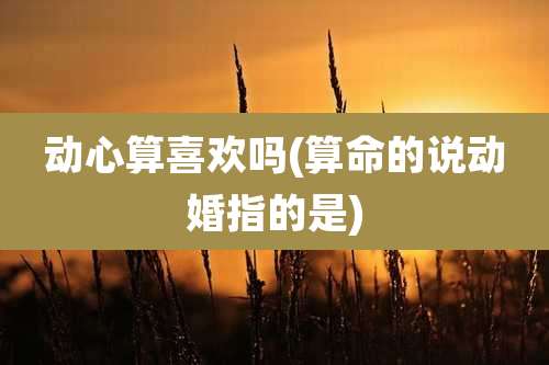 动心算喜欢吗(算命的说动婚指的是)