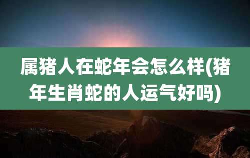 属猪人在蛇年会怎么样(猪年生肖蛇的人运气好吗)