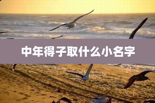中年得子取什么小名字