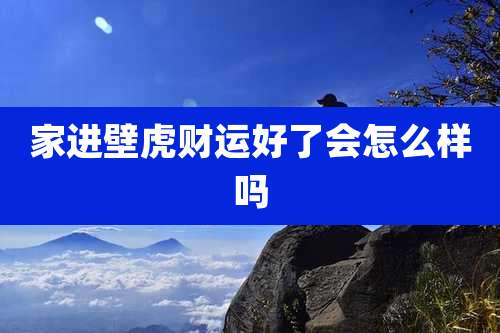 家进壁虎财运好了会怎么样吗