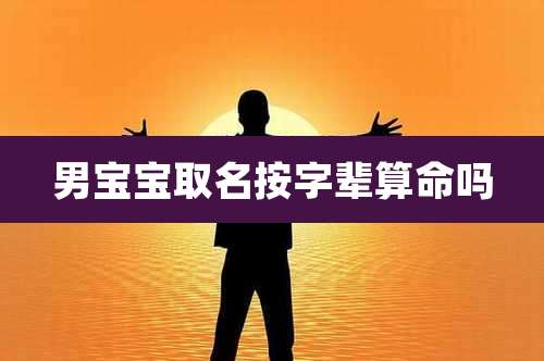 男宝宝取名按字辈算命吗