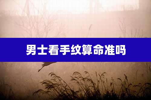 男士看手纹算命准吗
