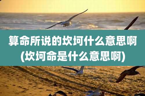 算命所说的坎坷什么意思啊(坎坷命是什么意思啊)