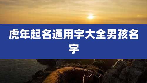 虎年起名通用字大全男孩名字