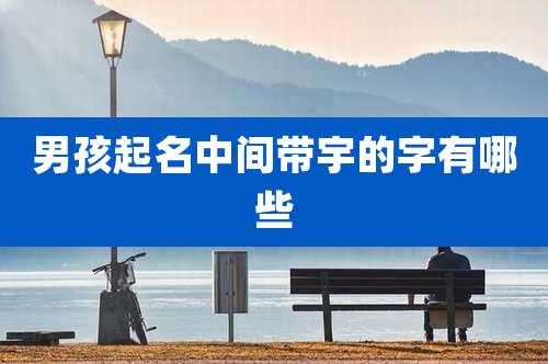 男孩起名中间带宇的字有哪些