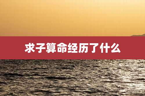 求子算命经历了什么