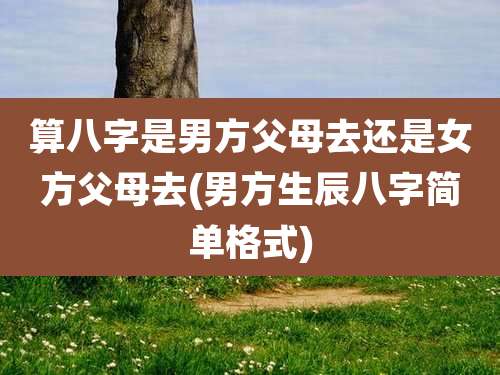 算八字是男方父母去还是女方父母去(男方生辰八字简单格式)