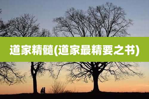 道家精髓(道家最精要之书)