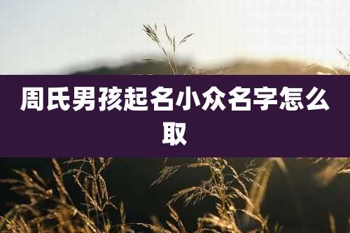 周氏男孩起名小众名字怎么取