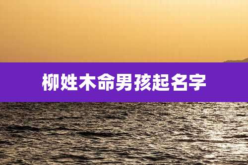 柳姓木命男孩起名字