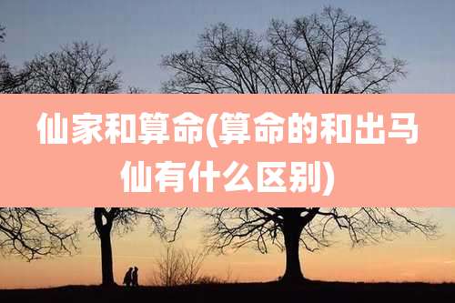 仙家和算命(算命的和出马仙有什么区别)