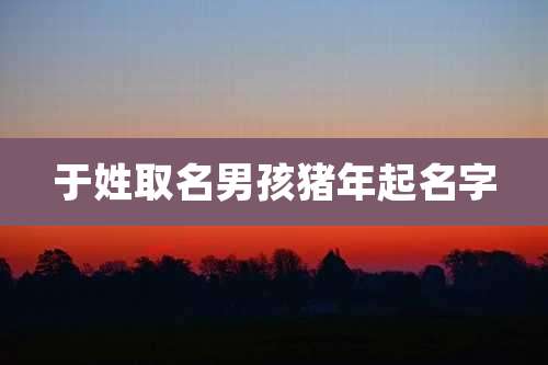 于姓取名男孩猪年起名字