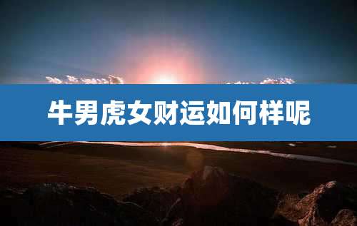 牛男虎女财运如何样呢
