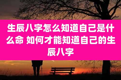 生辰八字怎么知道自己是什么命 如何才能知道自己的生辰八字