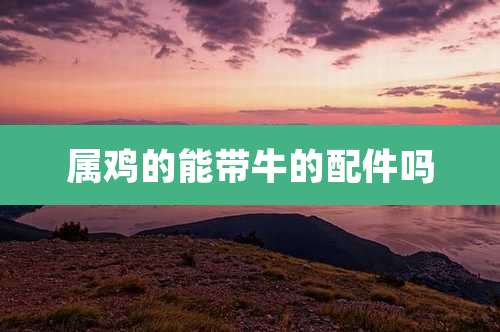 属鸡的能带牛的配件吗