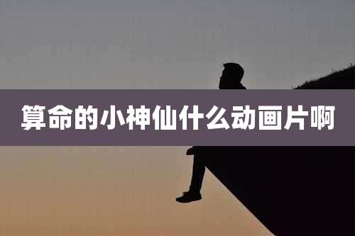 算命的小神仙什么动画片啊