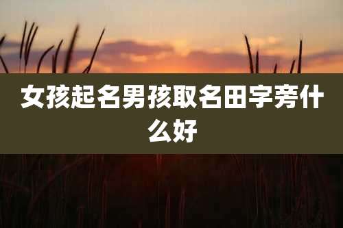 女孩起名男孩取名田字旁什么好