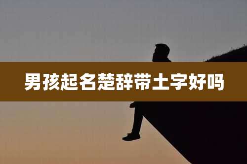 男孩起名楚辞带土字好吗