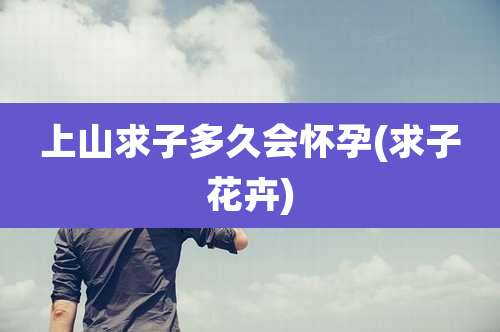 上山求子多久会怀孕(求子花卉)