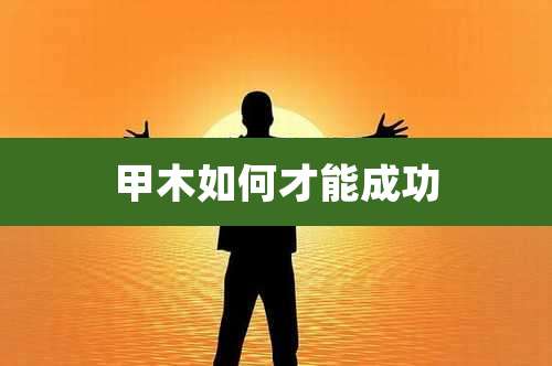 甲木如何才能成功