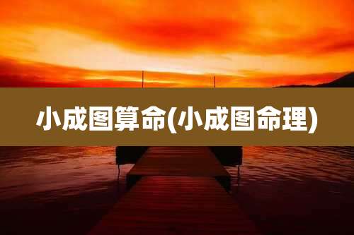 小成图算命(小成图命理)