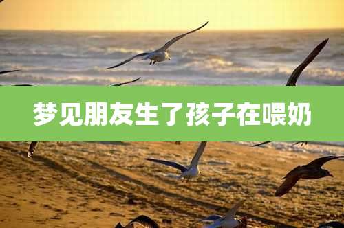 梦见朋友生了孩子在喂奶