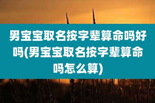 男宝宝取名按字辈算命吗好吗(男宝宝取名按字辈算命吗怎么算)