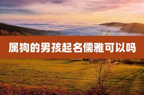 属狗的男孩起名儒雅可以吗
