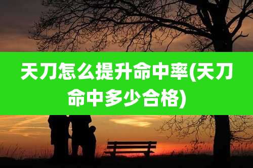 天刀怎么提升命中率(天刀命中多少合格)