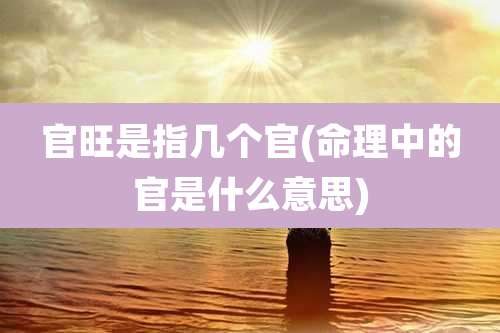 官旺是指几个官(命理中的官是什么意思)