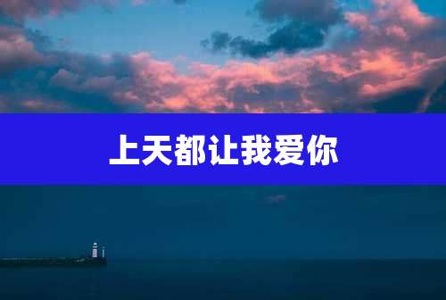 上天都让我爱你