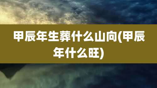 甲辰年生葬什么山向(甲辰年什么旺)