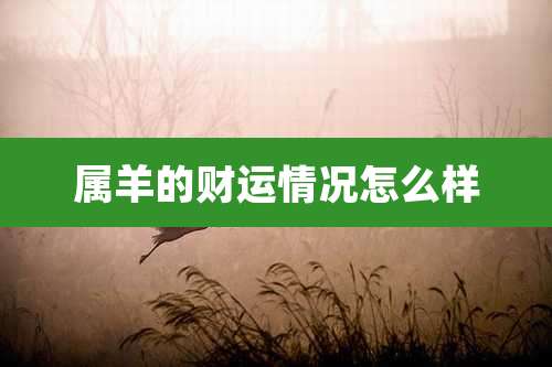 属羊的财运情况怎么样