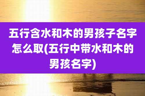 五行含水和木的男孩子名字怎么取(五行中带水和木的男孩名字)