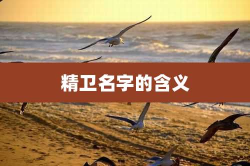 精卫名字的含义