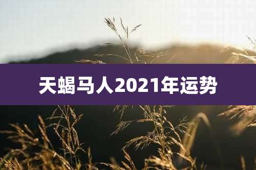 天蝎马人2021年运势