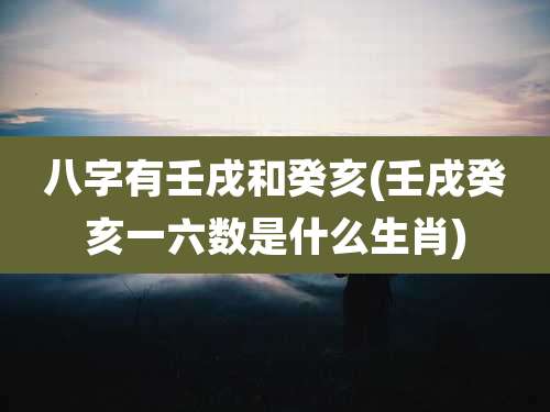 八字有壬戌和癸亥(壬戌癸亥一六数是什么生肖)