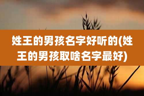 姓王的男孩名字好听的(姓王的男孩取啥名字最好)