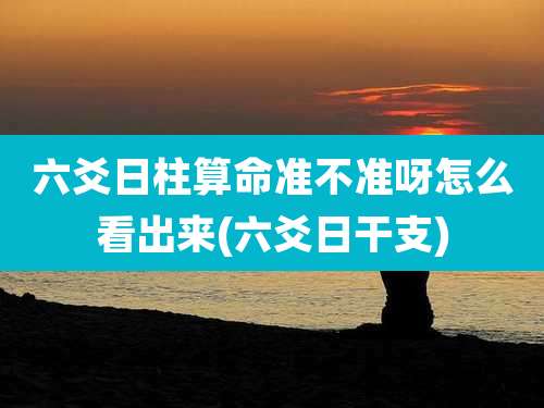 六爻日柱算命准不准呀怎么看出来(六爻日干支)