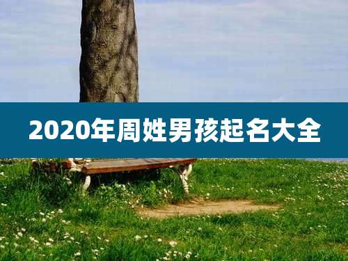 2020年周姓男孩起名大全