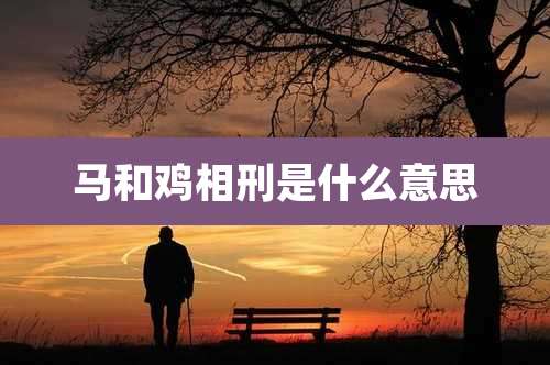 马和鸡相刑是什么意思