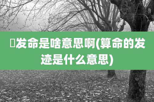 㷬发命是啥意思啊(算命的发迹是什么意思)
