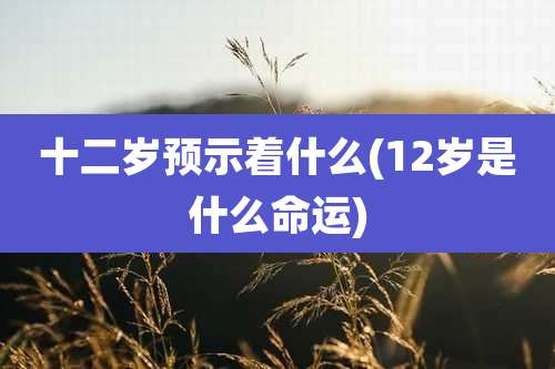 十二岁预示着什么(12岁是什么命运)