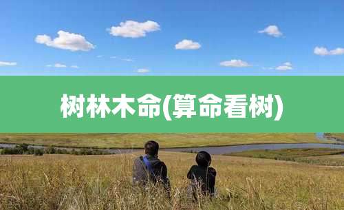 树林木命(算命看树)